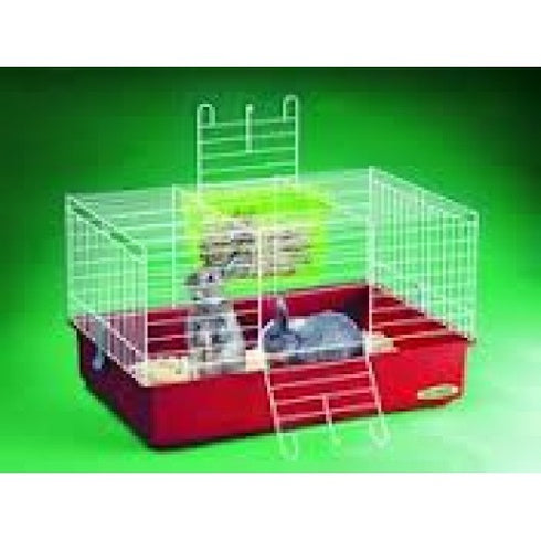 Cusca Cavia 3 Alb Rosu