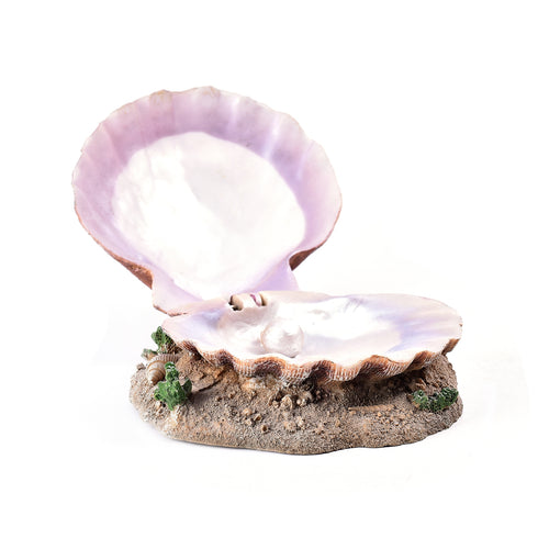 Decor pentru acvariu Scoica 15 cm 8808