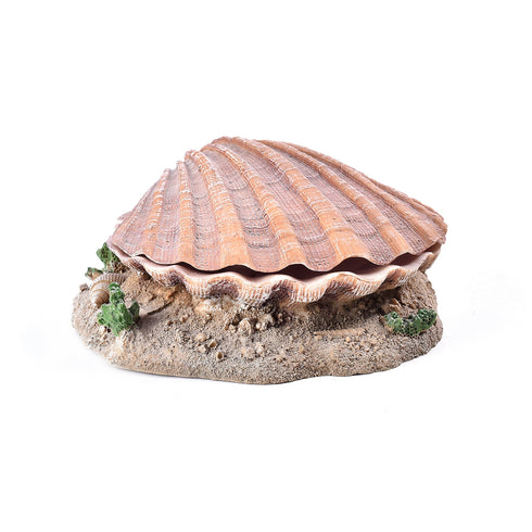 Decor pentru acvariu Scoica 15 cm 8808