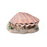 Decor pentru acvariu Scoica 15 cm 8808