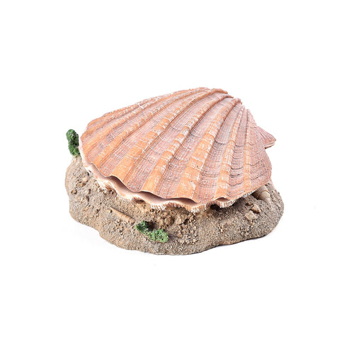 Decor pentru acvariu Scoica 15 cm 8808