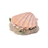 Decor pentru acvariu Scoica 15 cm 8808