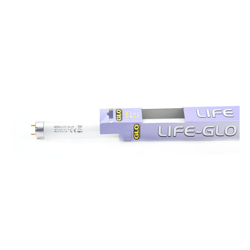 Lampa Life Glo 15 W