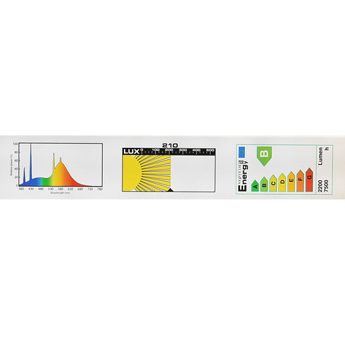 Neon Sun Glo 30 W 92 cm