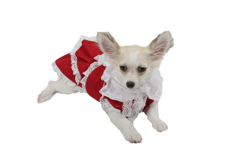 Rochie pentru caini B&B rosie cu dantela 30 cm