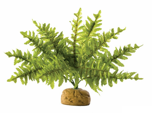 Decor pentru terariu planta Exo Terra Boston Fern Small