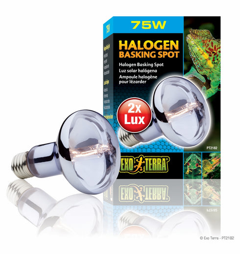 Bec Exo Terra Halogen 75W