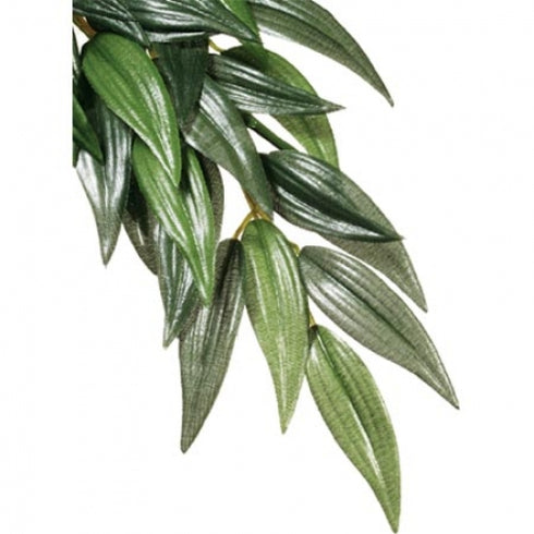 Decor pentru Terariu Exo Terra Planta Ruscus Medium 55cm