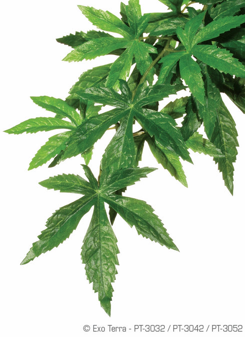 Decor pentru terariu Exo Terra Planta Abutilon 40cm