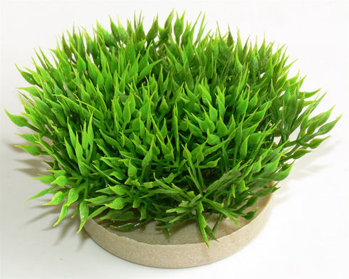 Decor pentru Acvariu Sydeco Planta Green Moss 7cm