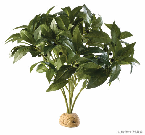 Decor pentru Terariu Exo Terra Planta Laurel Bush