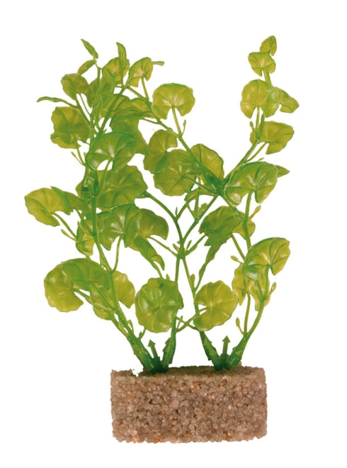 Decor pentru Acvariu Trixie Planta 12cm