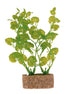 Decor pentru Acvariu Trixie Planta 12cm