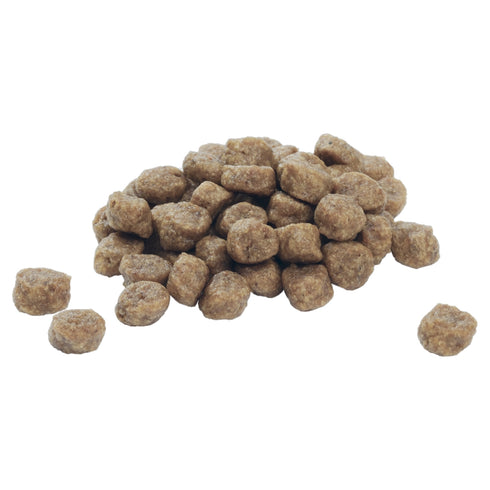 Hrana uscata pentru caini Purina Pro Plan Small and Mini Puppy cu pui si orez 7 kg