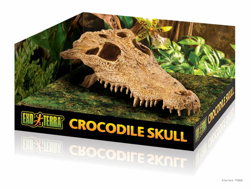 Decor pentru terariu Exo Terra Crocodile Skull 23x12x7.5cm