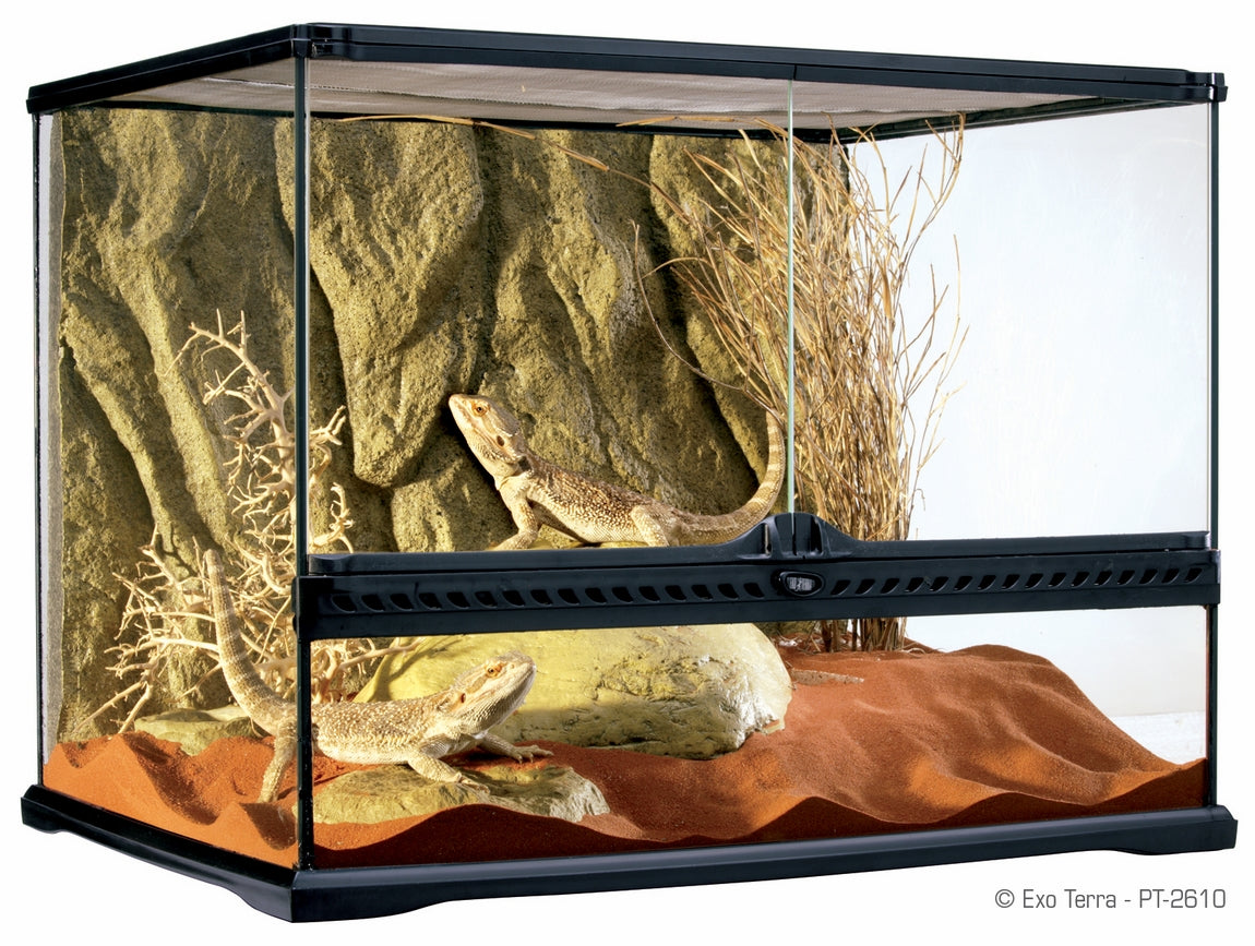 Terariu din Sticla Exo Terra 60x45x45cm - Animax