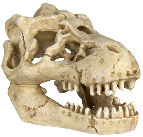 Decor pentru acvariu Craniu Animal 8-11cm