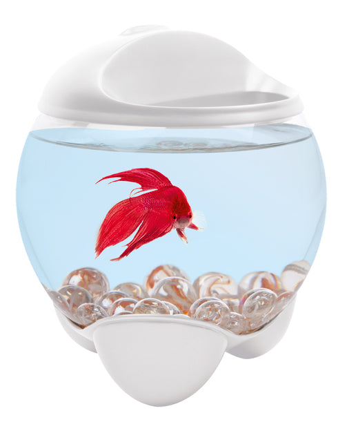 Acvariu bol Tetra Betta Bubble Alb 1.8L