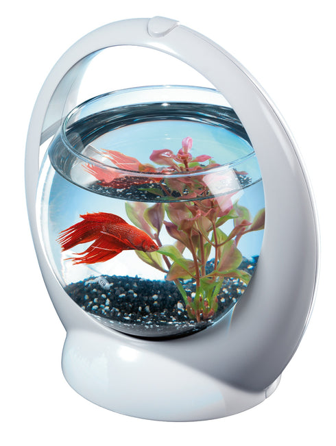Acvariu bol Tetra Betta Ring 1.8L