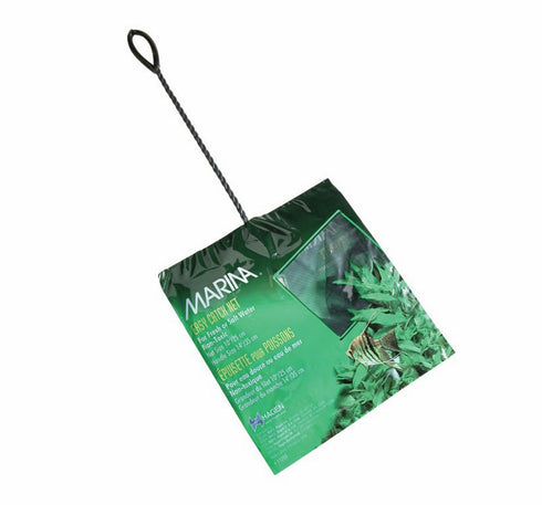 Mincioc Marina Verde 5cm