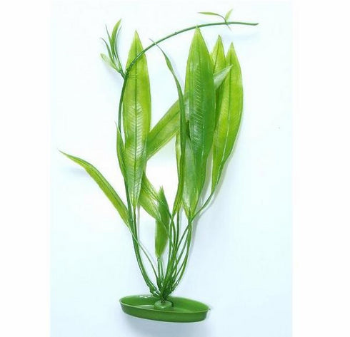 Decor pentru Acvariu Planta Marina Amazon Sword 20cm