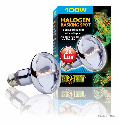 Bec Exo Terra Halogen 100W