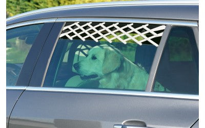 Sistem de siguranta pentru geam auto Zolux