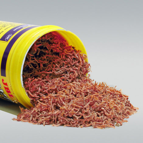 Hrana uscata pentru pesti Jbl Novofil 100ml