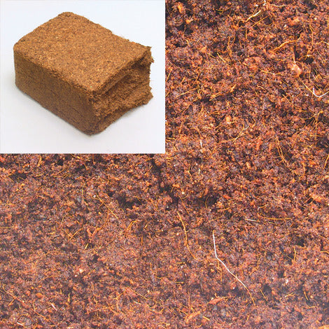 Substrat pentru terariu JBL Terracoco Compact 450gr