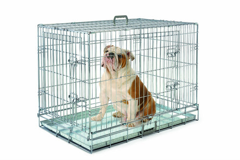 Cusca de transport pentru caini Imac Box Cane 92x57x66 cm