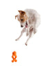 Jucarie pentru caini Zogoflex Tizzi Mini 12cm