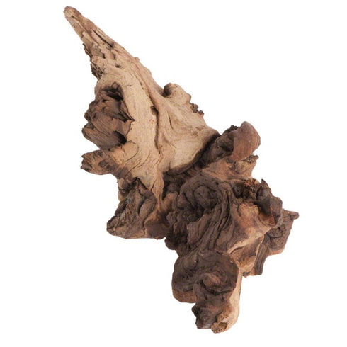 Radacina de Mopani JBL M 20-35 CM