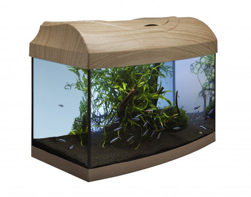 Acvariu pentru Pesti Diversa 40 Curb Fag