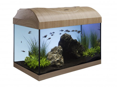 Acvariu pentru Pesti Diversa 40 Drept Fag