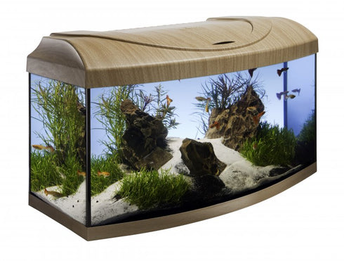 Acvariu pentru Pesti Diversa 60 Curb Fag 54 de Litri