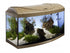 Acvariu pentru Pesti Diversa 60 Curb Fag 54 de Litri
