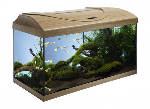 Acvariu pentru Pesti Diversa 60 Drept Fag 54 de Litri