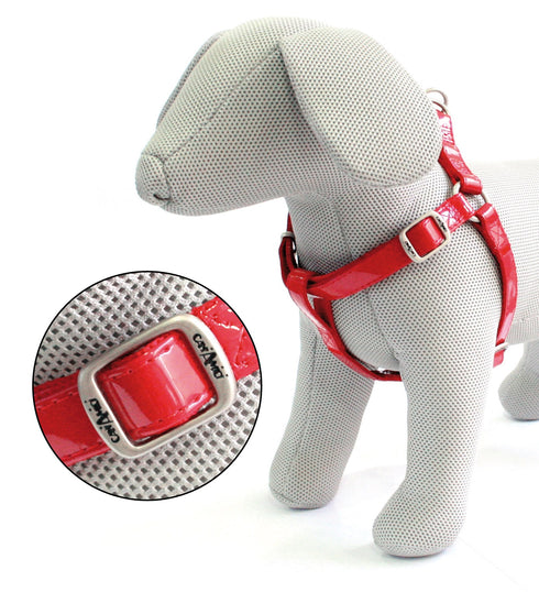 Ham reglabil Glossy 25 Cm-40x10mm.Rosu