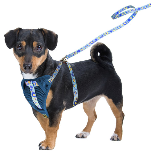 Set Lesa+Ham XS Albastru