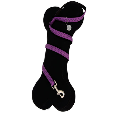 Lesa pentru caini Mylord Mov 120cmX25mm