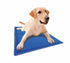 Covoras racoritor pentru caini Imac 40x50cm