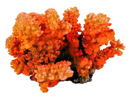 Decor Coral Mic 12 cm