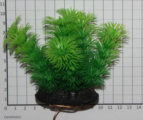 Planta din plastic pentru acvariu Kaldi'S 12x10cm 002