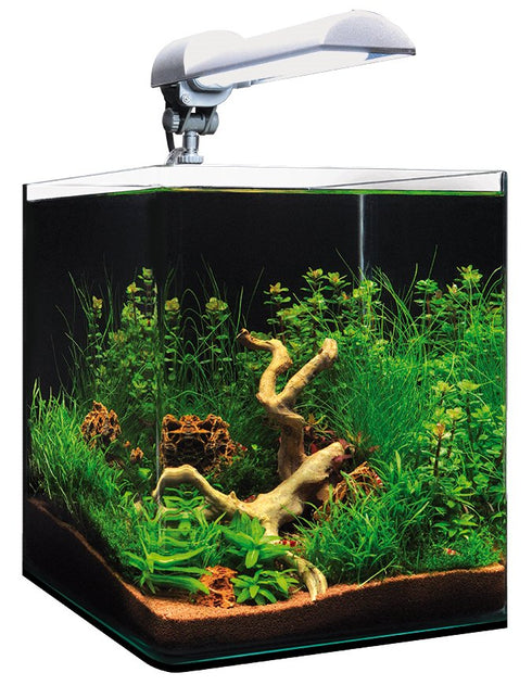 Acvariu Dennerle Nano Cube Complete+ 20 L