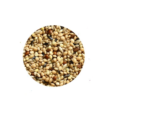 Hrana pentru pasari Padovan Natural Mix Exotice 1kg