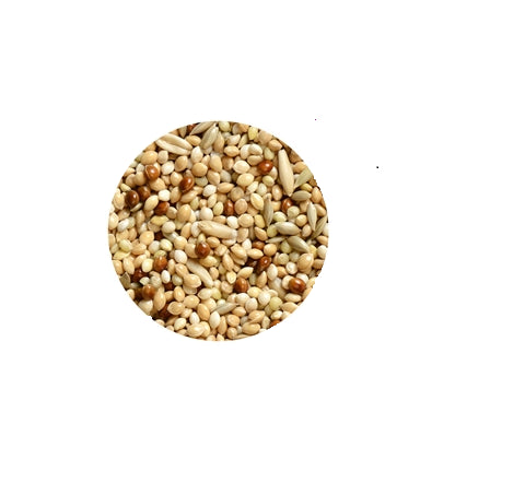 Hrana pentru perusi Padovan Natural Mix 1 kg