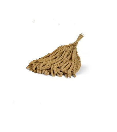 Hrana pentru pasari Panico in Spiga 250g