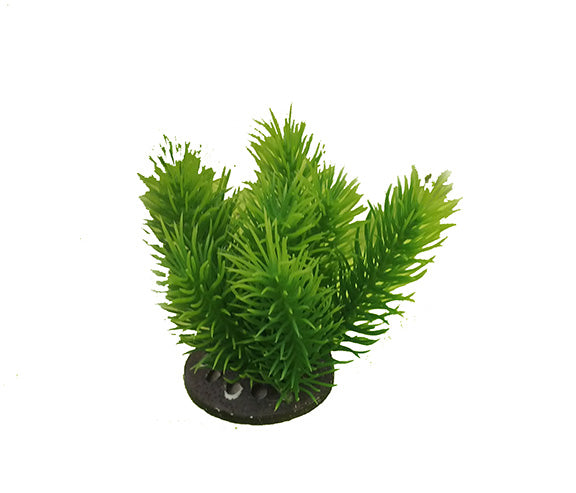 Decor pentru acvariu Croci Planta Japan Set 1 - Animax