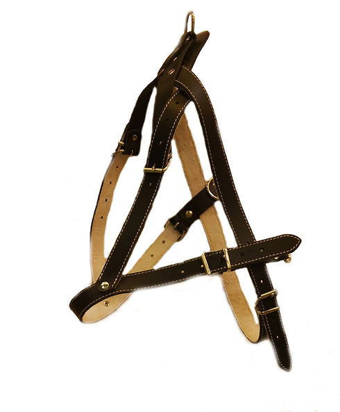 Animax Ham Negru Piele Sanie Nr 5