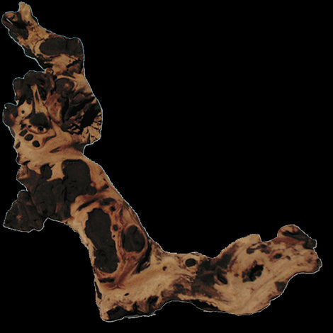 Decor acvariu JBL Mopani Roots M 26-30cm